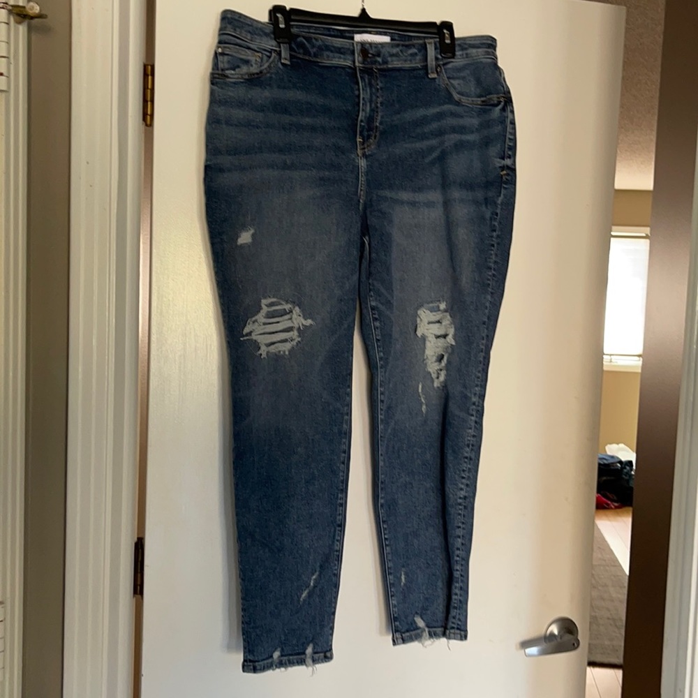 Lane Bryant Jeans
